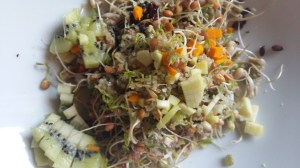 sprossensalat